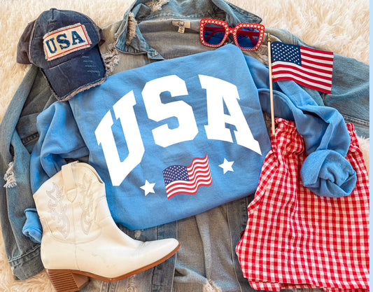 USA BLOCK SWEATSHIRT (COLUMBIA BLUE)